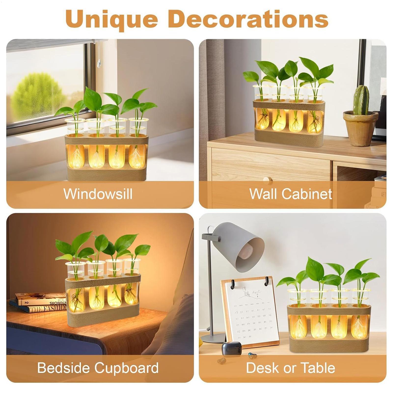 Terrario per provette in vetro - Home Office With Plants recensione e prezzo
