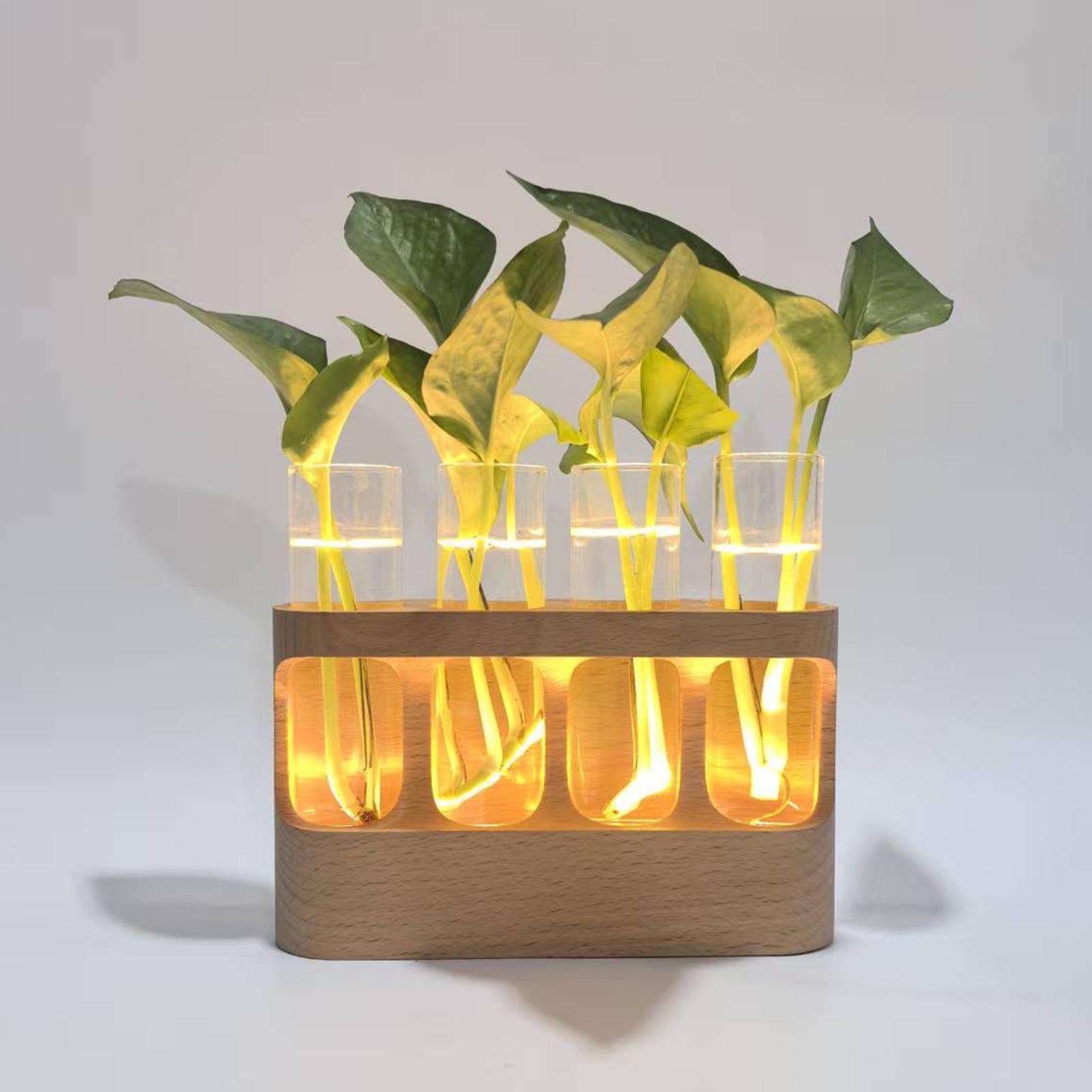 Terrario per provette in vetro - Home Office With Plants recensione e prezzo