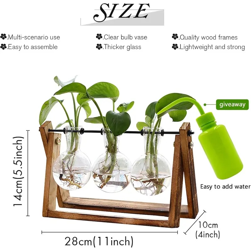 Kit Terrario Idroponico con Su - Home Office With Plants recensione e prezzo