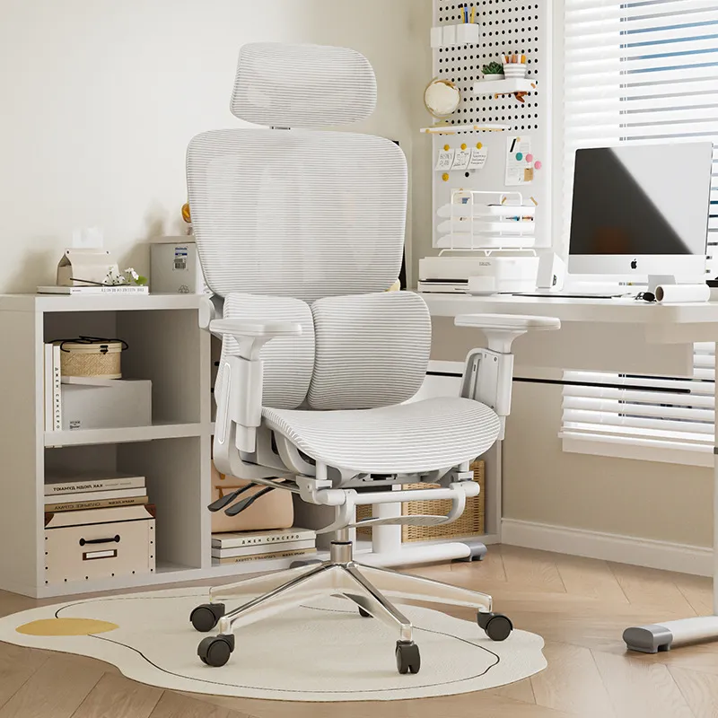 Sedia da Ufficio Ergonomica co - Home Office Chair recensione e prezzo