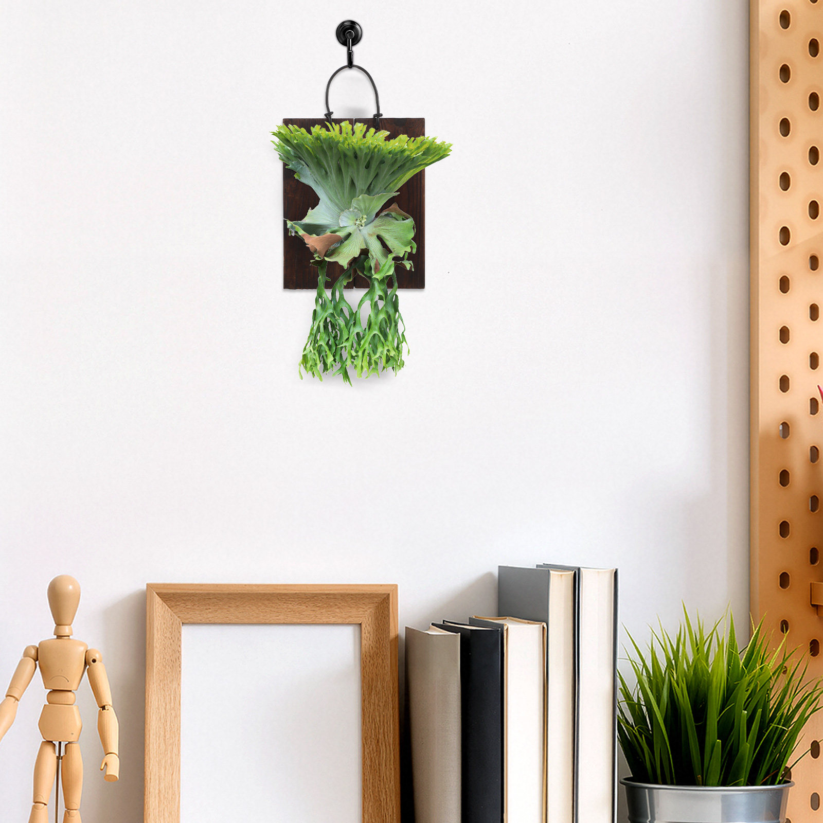 Pannello di Montaggio per Felc - Home Office With Plants recensione e prezzo