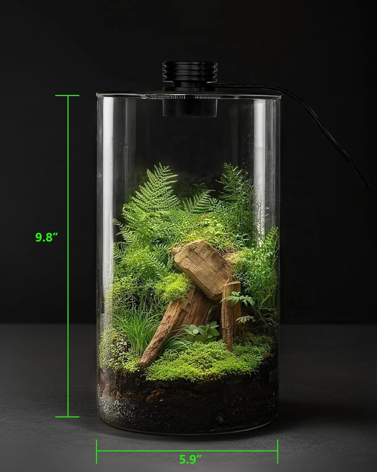 Terrario in vetro da interno c - Home Office With Plants recensione e prezzo