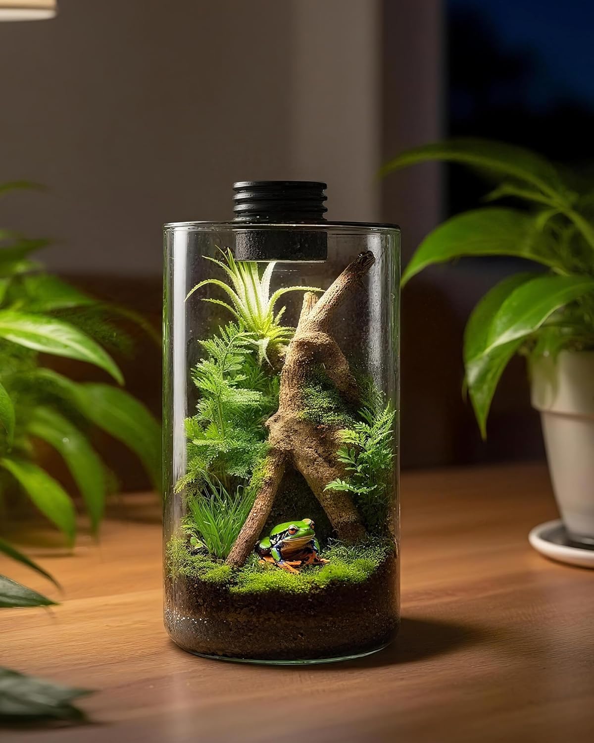 Terrario in vetro da interno c - Home Office With Plants recensione e prezzo