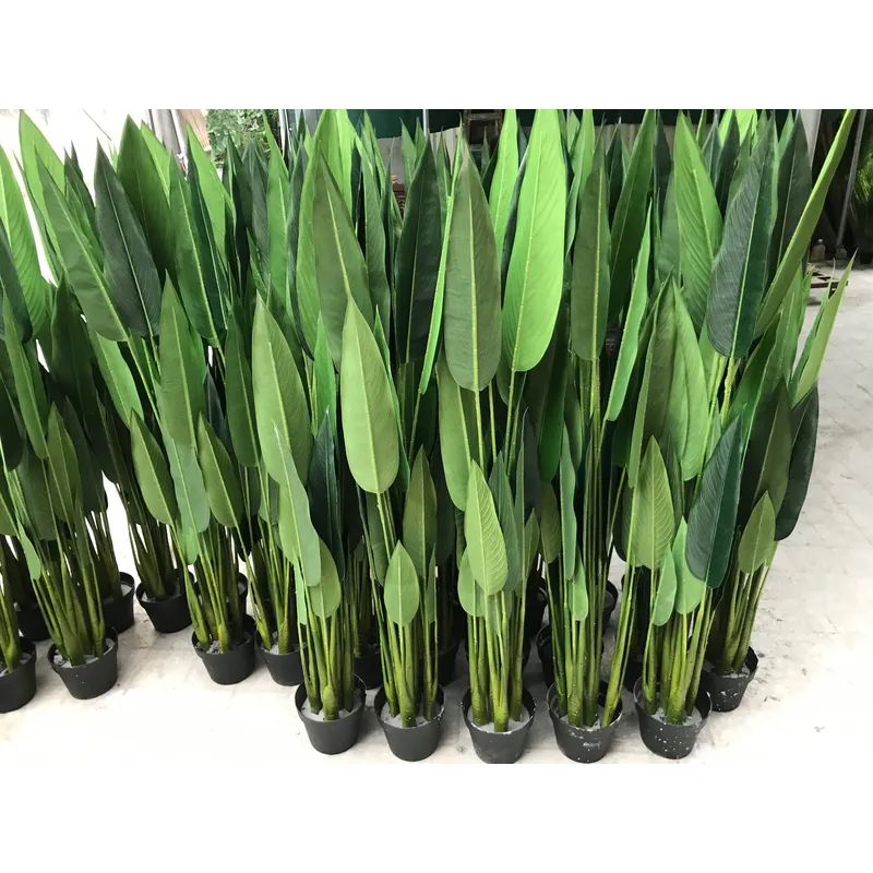 Piante di Banano Artificiali p - Home Office With Plants recensione e prezzo